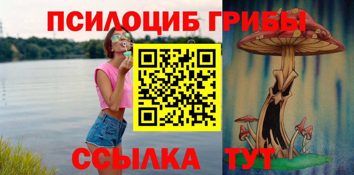 Псилоцибиновые грибы GOLDEN TEACHER Волхов